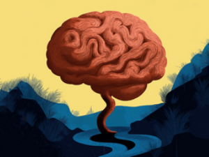 Les chroniques du bulbe